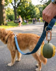 Trooper Ball Carrier