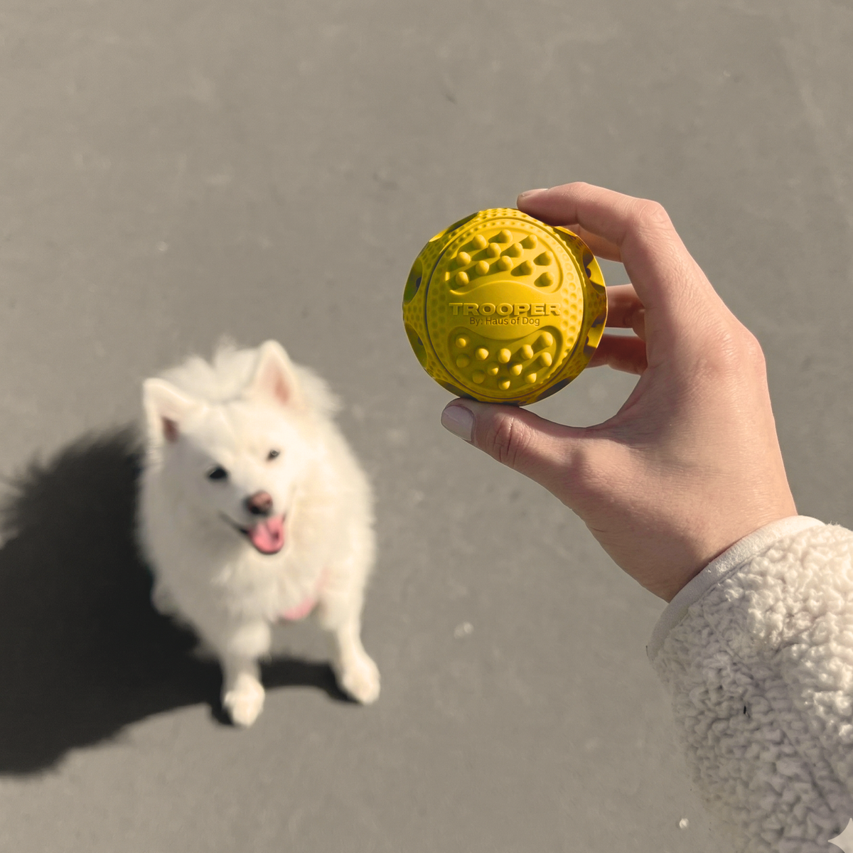 Slideshow Image 1