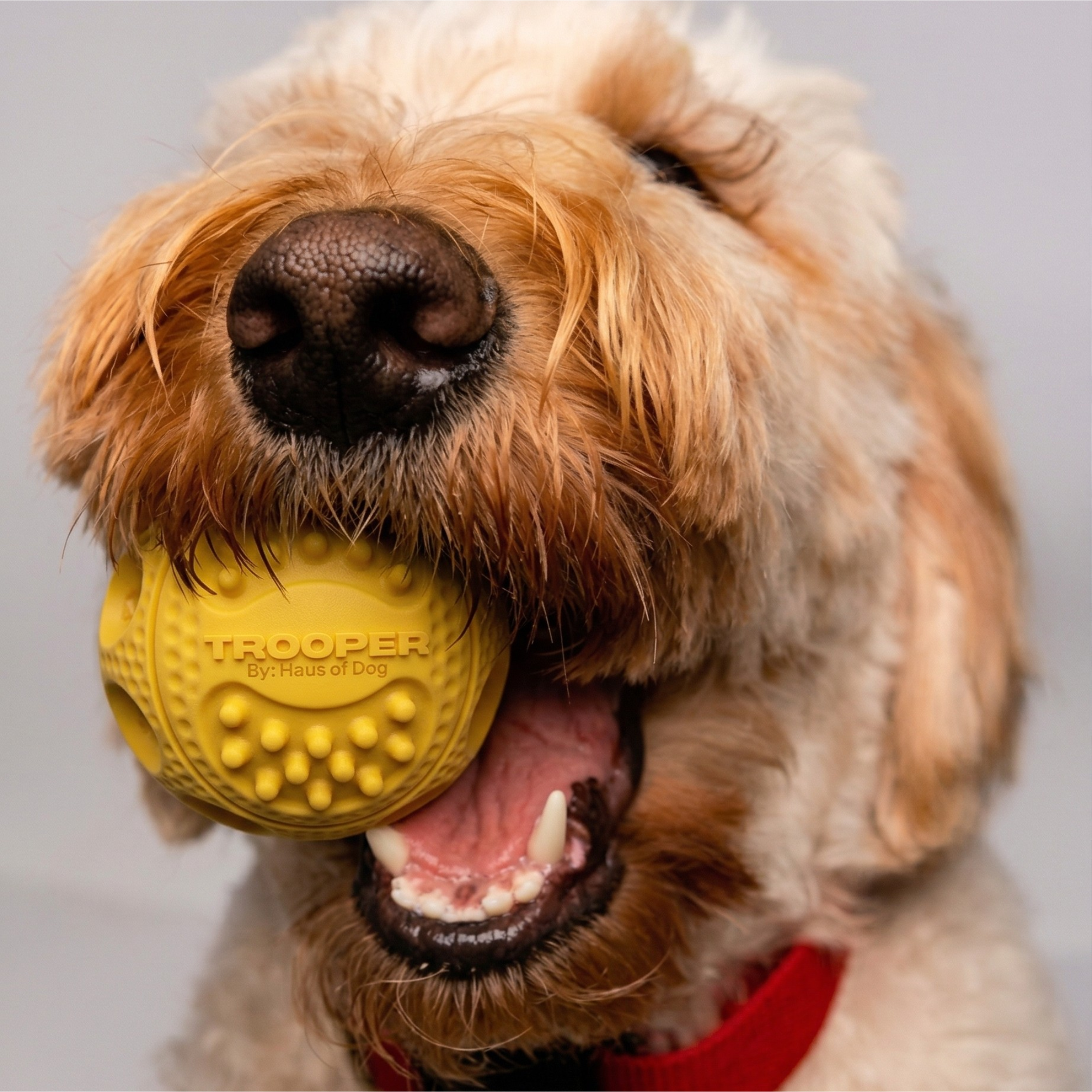 Trooper Dog Ball (Backordered Ships in 8 Weeks)