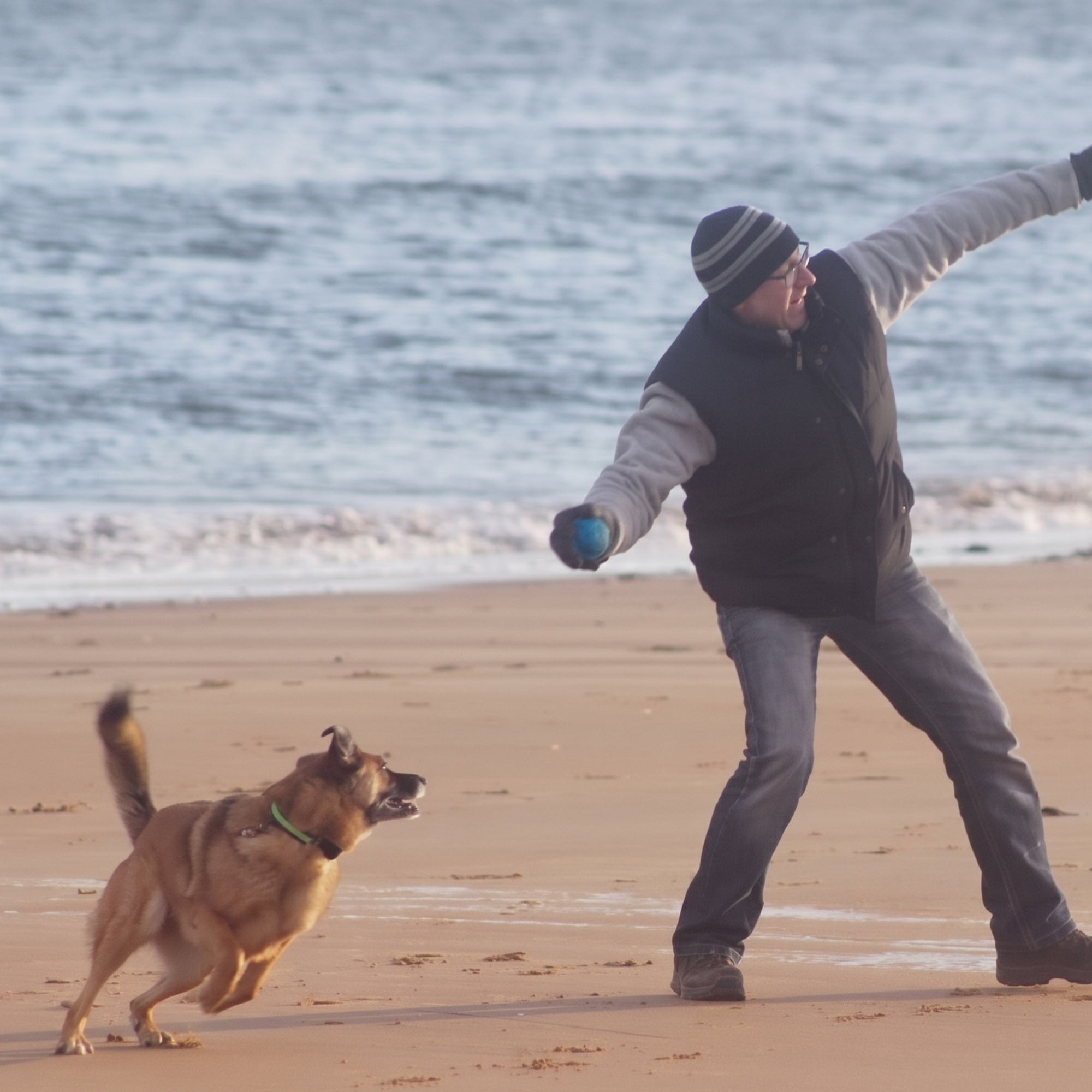 A man throws a blue frisbee on a sandy beach while a brown dog runs toward it, with the ocean in the background.